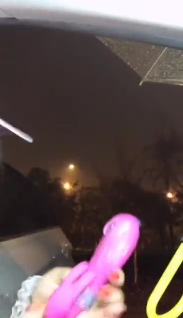 【国产】-极品美女主播各种诱惑大尺度大秀喜欢的不要错 【国产】-极品美女主播各种诱惑大尺度大秀喜欢的不要错