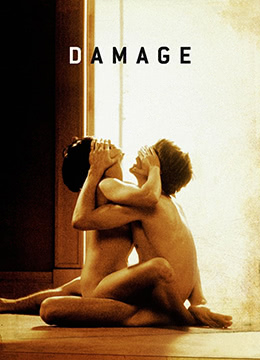 烈火情人.Damage.1992.UK.BluRay.1280x696p.x264.AC3-KOOK.[中英雙字]