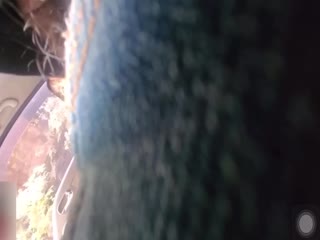 【校园哄骗门事件】禽兽老师哄骗高中生车震口爆!. 【校园哄骗门事件】禽兽老师哄骗高中生车震口爆!.